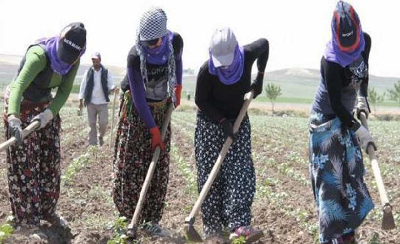 Mevsimlik tarım işçileriyle ilgili yeni düzenleme Resmi Gazete'de