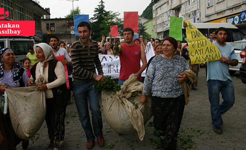 Yaş çay alım fiyatına tepkiler sürüyor: Rize ve Artvin Ziraat Odaları Ulusal Çay Konseyi'nden istifa etti