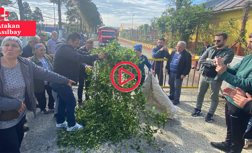 Çay üreticilerinden Kemalpaşa'da eylem: Çaylar fabrika önüne döküldü