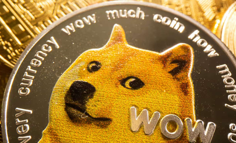 Barınaktan kurtarılmasaydı 2010'da 'uyutulacaktı': Dogecoin'in simgesi Kabosu 18 yaşında öldü
