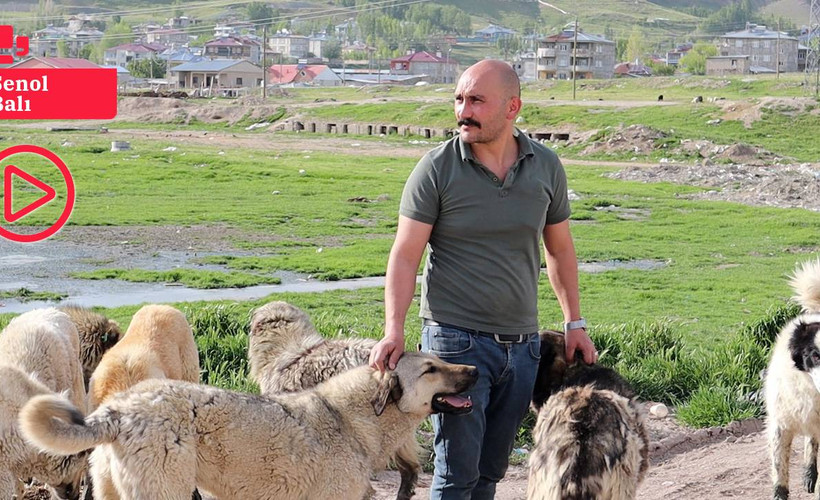 Ömrünü sokakta yaşayan köpeklere adadı: 'Her şeyin nedeni sevgisizlik, katletmeyi vicdan kabul etmez'