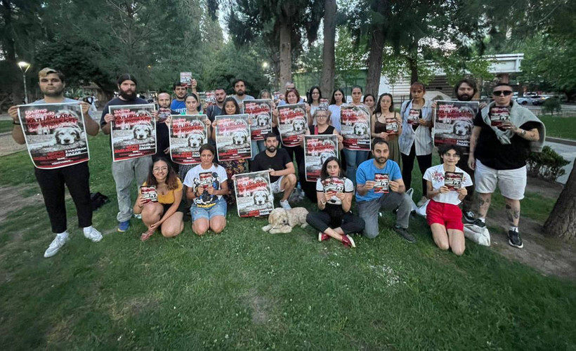 Sokak hayvanlarına yönelik katliam düzenlemesine karşı İstanbul ve İzmir’deki mitinge çağrı