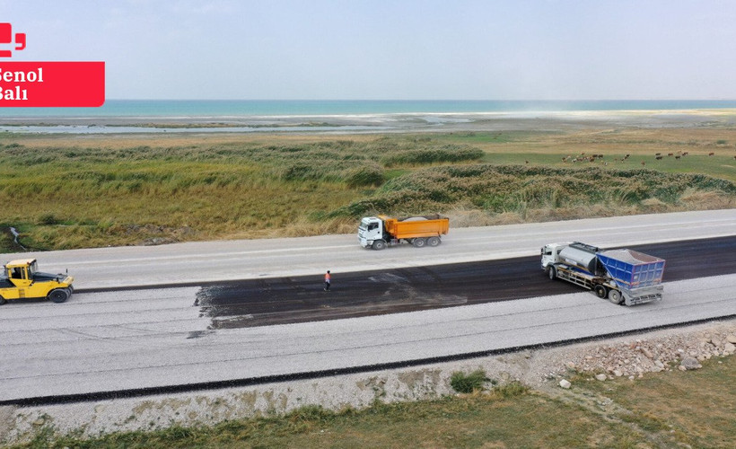 Van'da kayyımın sahil yolu canlıların ölüm yolu oldu