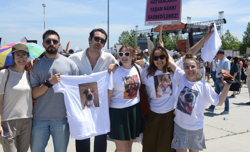 Oyuncular sokak hayvanları için ayakta: 'Devlet çözüm için bütçe ayırmalı'