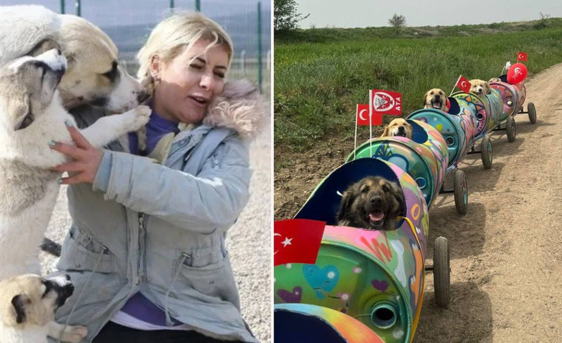 'Köpek Velisi’ Buket Özgünlü'nün tutuklanmasına tepki yağdı: Bu organize kötülük önüne gelen her şeyi yutar