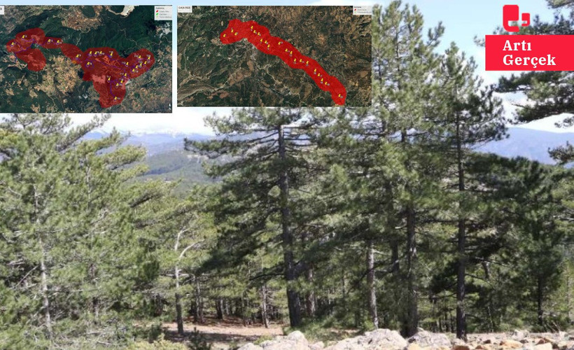 Muğla'da Alman şirketinin RES projelerine onay: 36 bin ağaç kesilecek