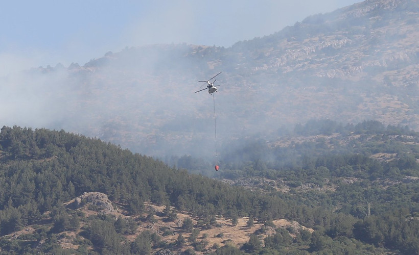 Manisa Spil Dağı'nda çıkan orman yangını kontrol altına alındı