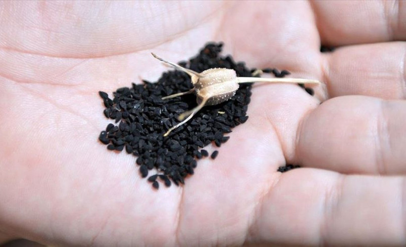 1 tatlı kaşığı yemek karaciğeri onarıyormuş! Peki onu nasıl tüketmek gerekiyor?