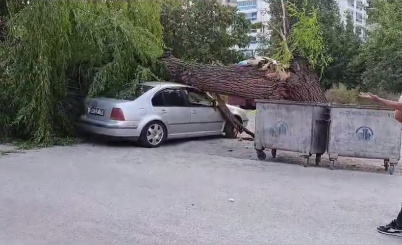 Ankara’da kuvvetli rüzgar: Ağaç devrildi, 4 araç hasar gördü