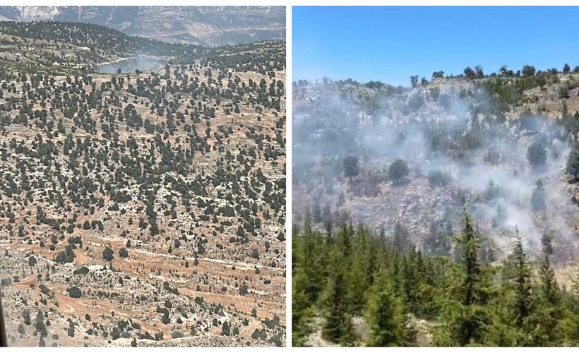 Mersin ve Muğla'da orman yangınları