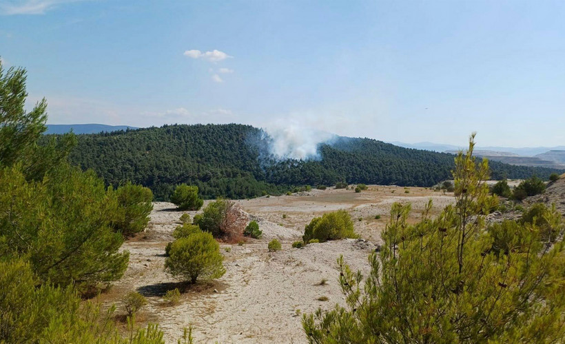 Balıkesir'in iki ilçesinde orman yangını