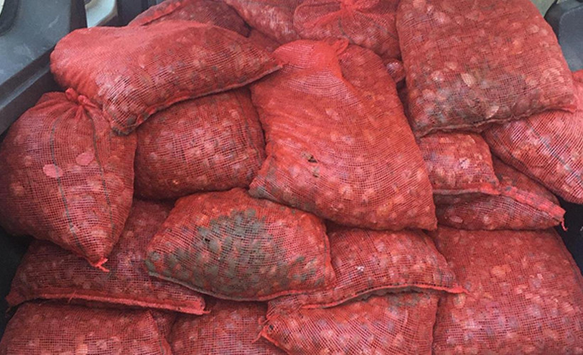 İstanbul'da kaçak avlanmış 1 ton midye denize döküldü