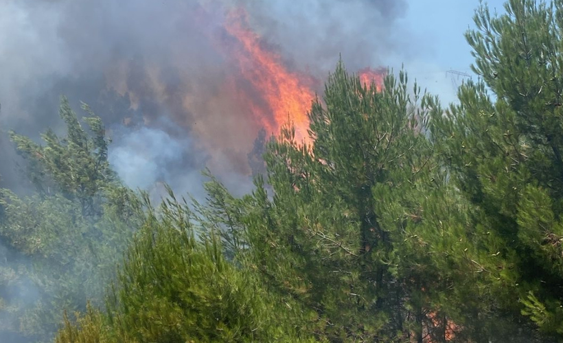 Balıkesir'de ormanlık alanda çıkan yangın kontrol altına alındı