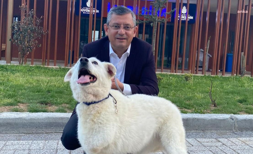Özgür Özel, sokak hayvanları için başlatılan "Katliam yasasına hayır" etiketine destek verdi