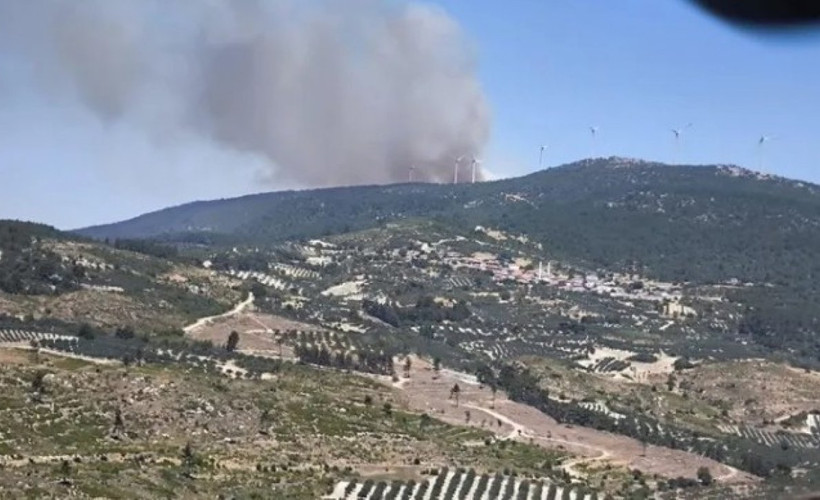 Ege'de üç bölgede orman yangını