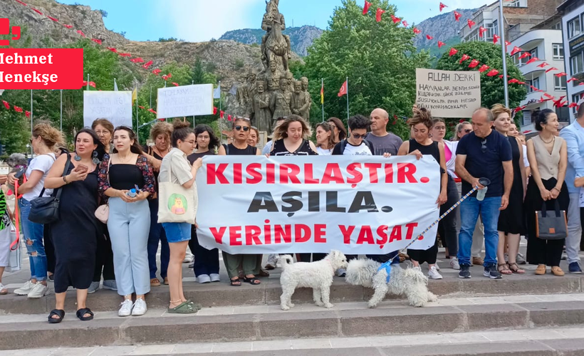 'Katliam Yasası' Amasya'da protesto edildi: 'Hayvanların öldürülmesini asla kabul etmiyoruz'