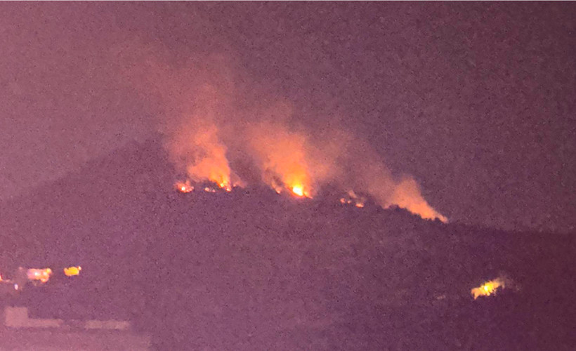 Adana'da orman yangını