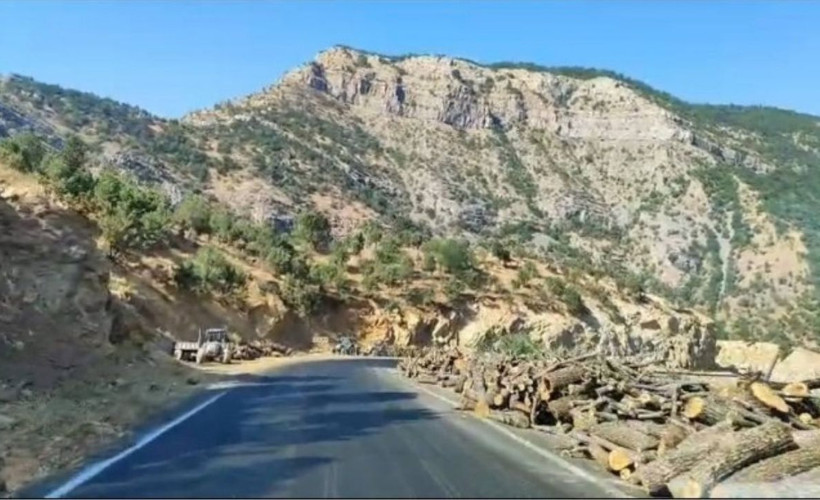Şırnak Barosu orman kıyımına karşı bakanlığa dava açacak
