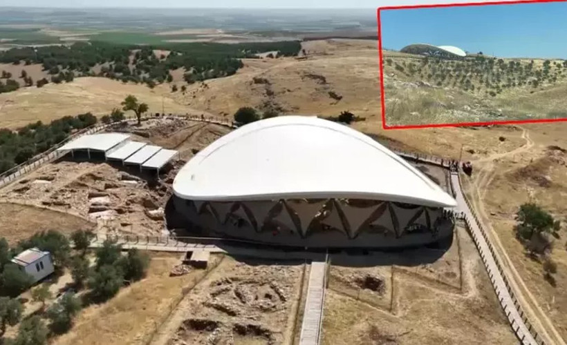 Göbeklitepe'de ağaç dikme iddiasına kazı başkanından yalanlama geldi