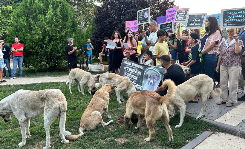 Dersim'de 'katliam yasası'na karşı açıklamaya köpekler de katıldı: 'Dokuz belediye de yasayı uygulamayacak'