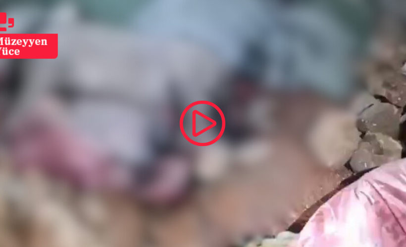 Ankara’da köpek katliamı: Hayvanlar parçalanarak öldürülmüş