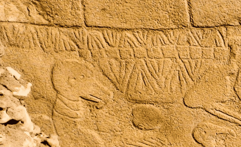 Göbeklitepe’de araştırmacılar, dünyanın en eski güneş takvimine ulaşmış olabilir