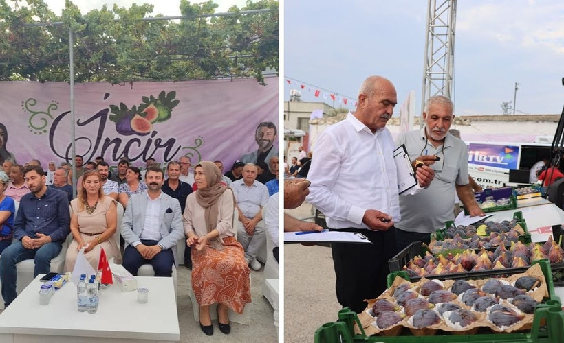 Akdeniz’de İncir Festivali için tahsis edilen okul bahçesine izin verilmedi