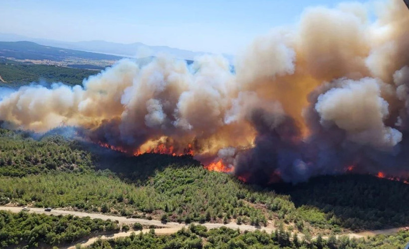 Bolu, Manisa ve İzmir'de orman yangınları