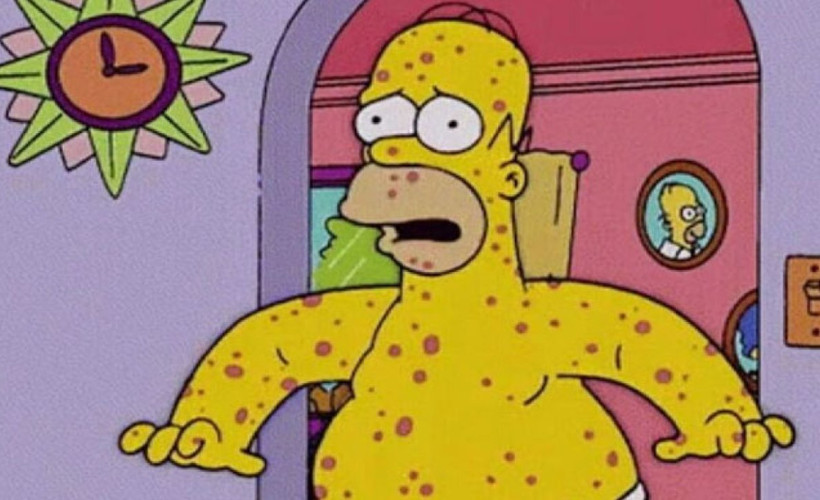 The Simpsons kehanetlerine maymun çiçeği virüsü de eklendi