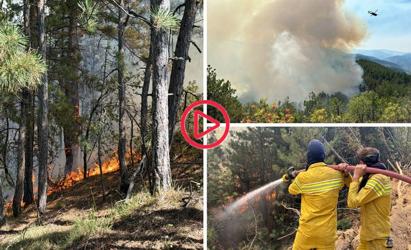 Karabük'te orman yangını