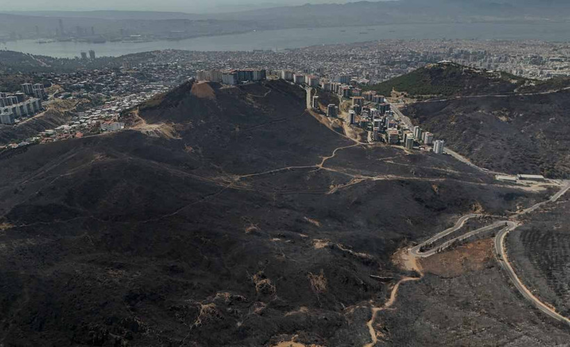 Ege'de yeşil alanlar yerini griye bıraktı: Yanan ormanlar havadan görüntülendi