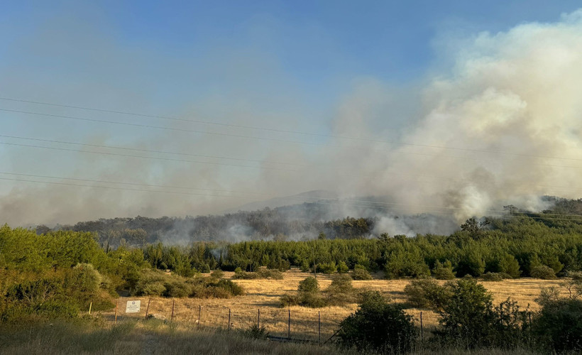 İzmir'in Menderes ilçesinde çıkan orman yangını kontrol altına alındı