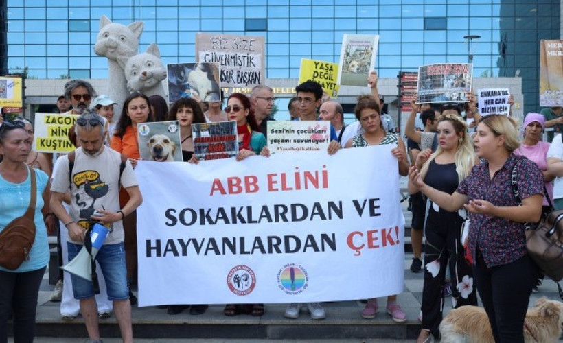 Hak savunucularından Mansur Yavaş'a tepki: 'Halkın belediye başkanı mısınız yoksa hayvan katillerinin mi?'