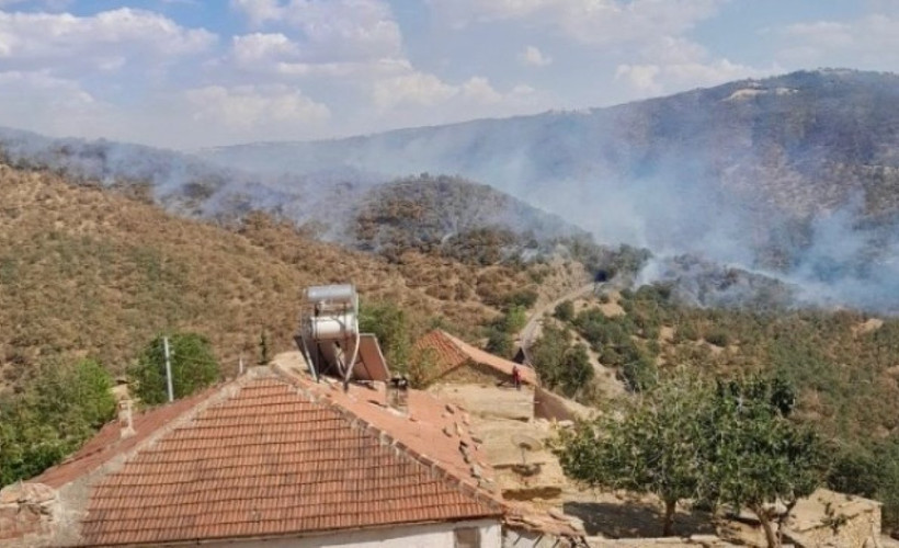 İzmir ve Uşak'ta orman yangını
