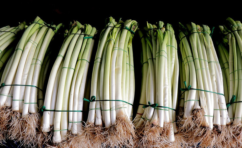 Sofralardan birçok kişi eksik etmiyor. Pırasa yerken bir kez daha düşünün