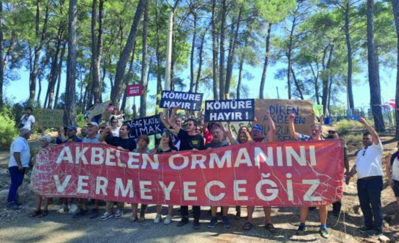 Akbelen'e sabah baskını: Zeytin ağaçları sökülüyor, köylüler gözaltına alındı