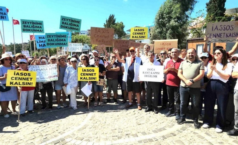 Antik Kent İasos'ta planlanan liman projesine tepki: 'Ne tarih, ne balık ne zeytin kalacak'