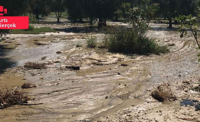 Aydın Germencik’te çevre felakati: JES borusu patladı!