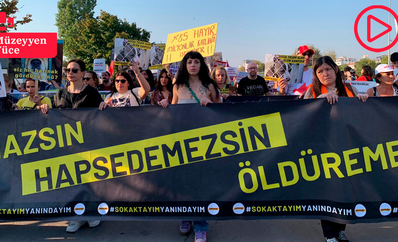Yaşam hakkı savunucuları ‘katliam yasası’na karşı meydanda: Yasayı iptal et