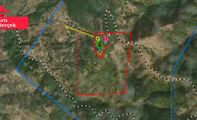 Koza'da altın madeni projesi bir kez daha reddedildi: 'Zeytincilik Kanunu'na aykırı'