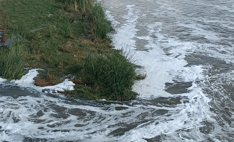 Bismil Belediyesi’nden Dicle Nehri uyarısı: Suyu kullanmayın, balık avlamayın