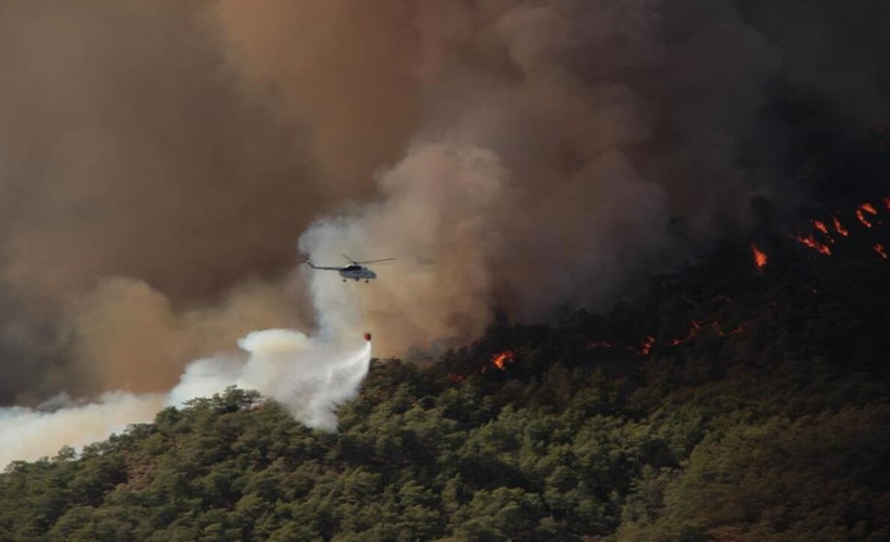 Muğla'daki orman yangınlarında 849 hektar kül oldu