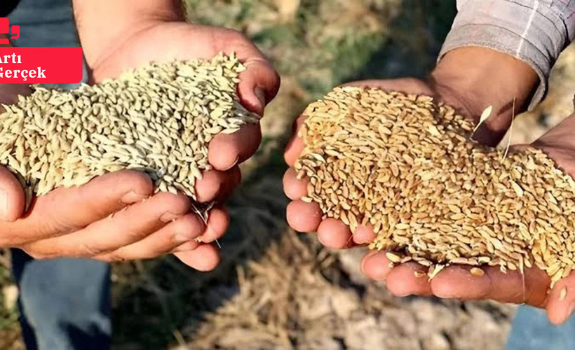 Çiftçi üretimden kopuyor: 'Üreten son kuşak olabiliriz'