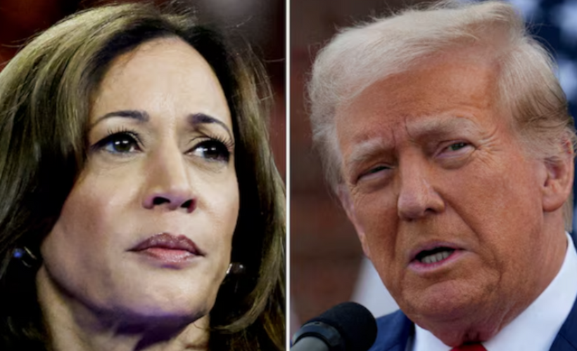 ABD'nin seçim Nostradamus'u: Kamala Harris, anketlere rağmen Donald Trump'ı yenecek