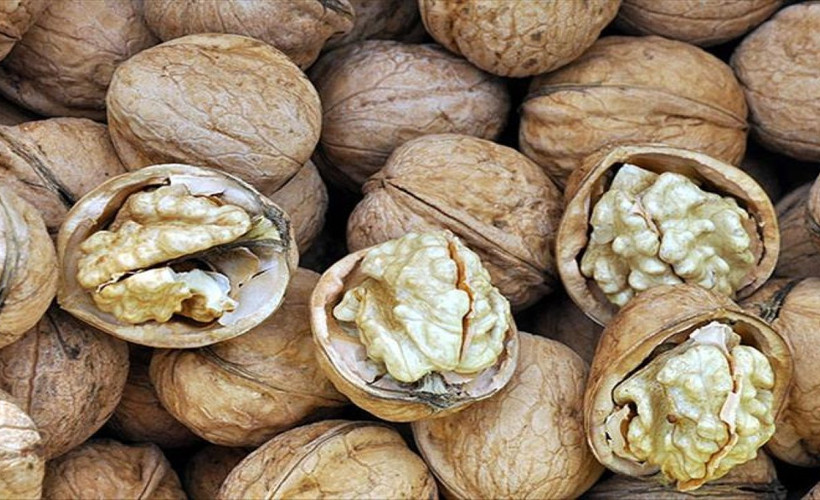 Ceviz kabuklarını asla çöpe atmamalısınız: Saça sağladığı bu fayda inanılmaz