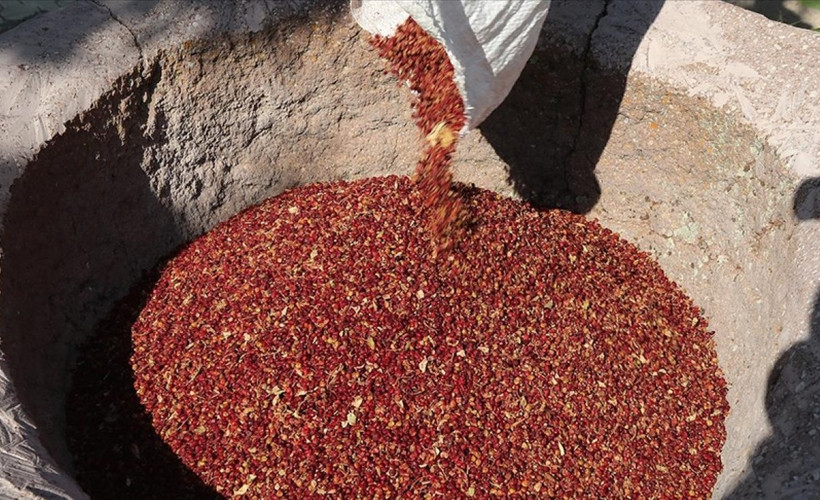 Eklendiği birçok şeye lezzet katıyor! Meğer bir tutamı bile şifaymış