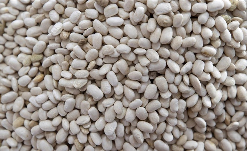 Doğru yapılırsa asla dağılmıyor: Kuru fasulyeye lezzet katan tüyo