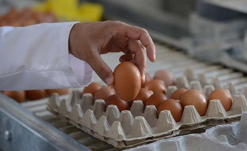 Yumurtada görülmemiş tehlike! Yerken bir kez daha düşünün