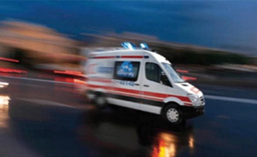 Pancar toplarken düşüp yaşamını yitirdi
