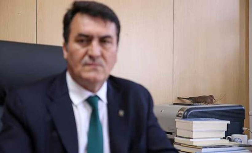 Makam odasında beklenmedik misafir